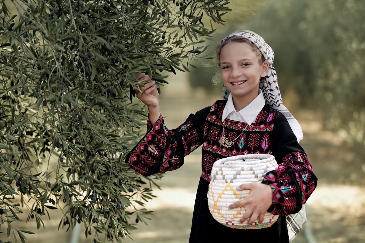 Girl in traditional Palestinian dress harvesting olives in an orchard. Smiling with a basket.